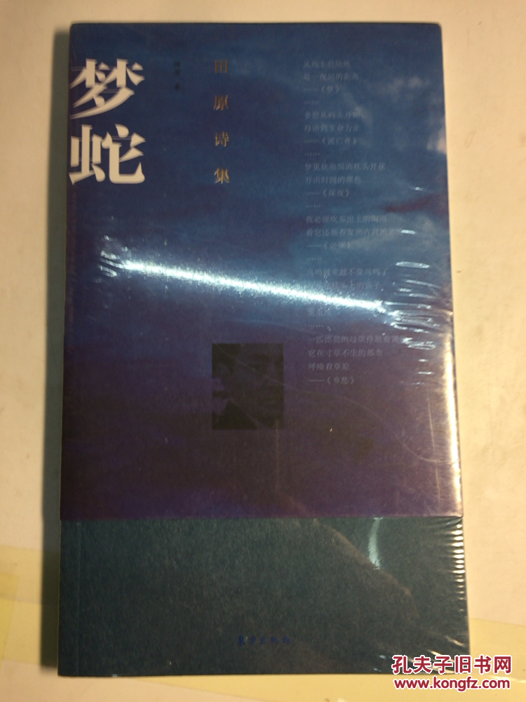 梦蛇:田原诗集