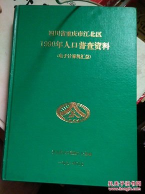 人口普查电子档怎么汇总_人口普查(3)