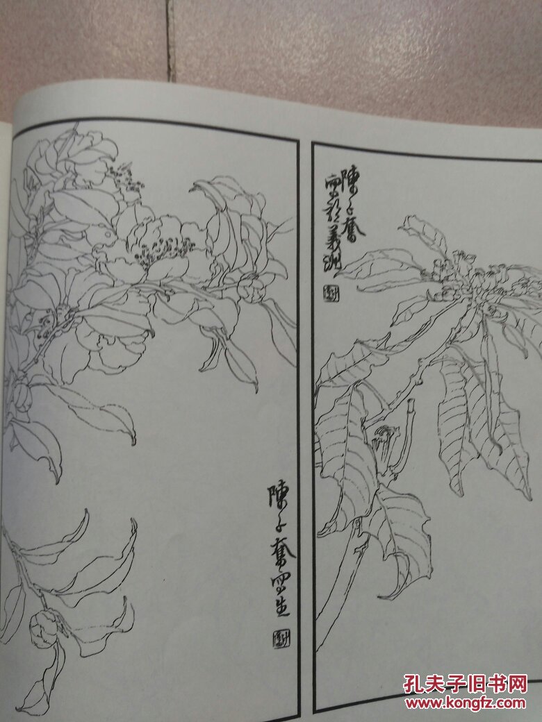 荣宝斋画谱 八十九 陈子奋 绘 花鸟部分(扉页缺半张)