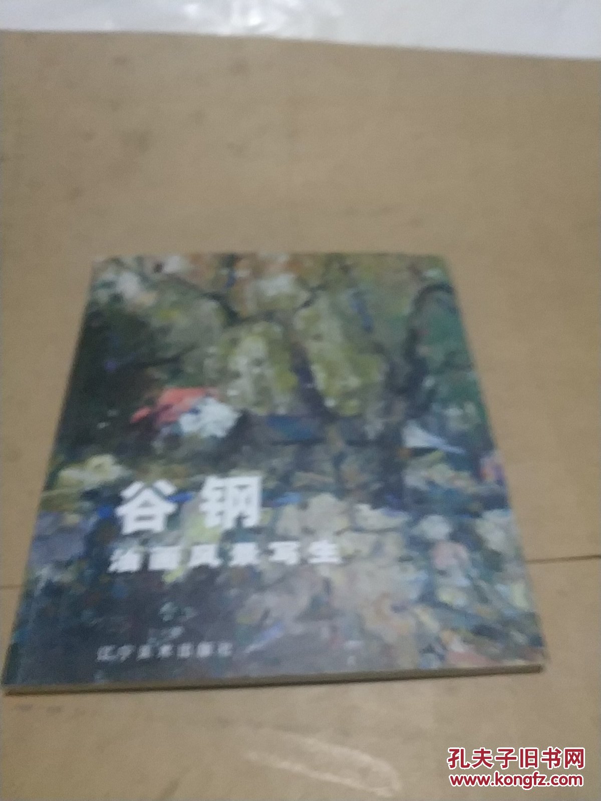 《谷钢油画风景写生》为谷钢油画风景写生集,供广大风景油画爱好者学习、欣赏。尽管我们处于观念意识,科学技术不端更新的时代,但写生依然是油画家嘴紧闭的创作手段,他的艺术魅力和价值不回减弱,时代将注入这个传统形式以新的生机。 谷钢,现为中国美术家协会会员,辽宁师范大学美术学院教授、硕士研究生导师、大连画院画家。国务院特殊津贴获得者。曾先后担任吉林艺术学院、辽宁师范大学美术系主任。88年参加第五次全国文代会。从六十年代开始,作品曾先后参加第四、六、九、十届全国美展、纪念建军、建党全国美展、首届中国油画展、