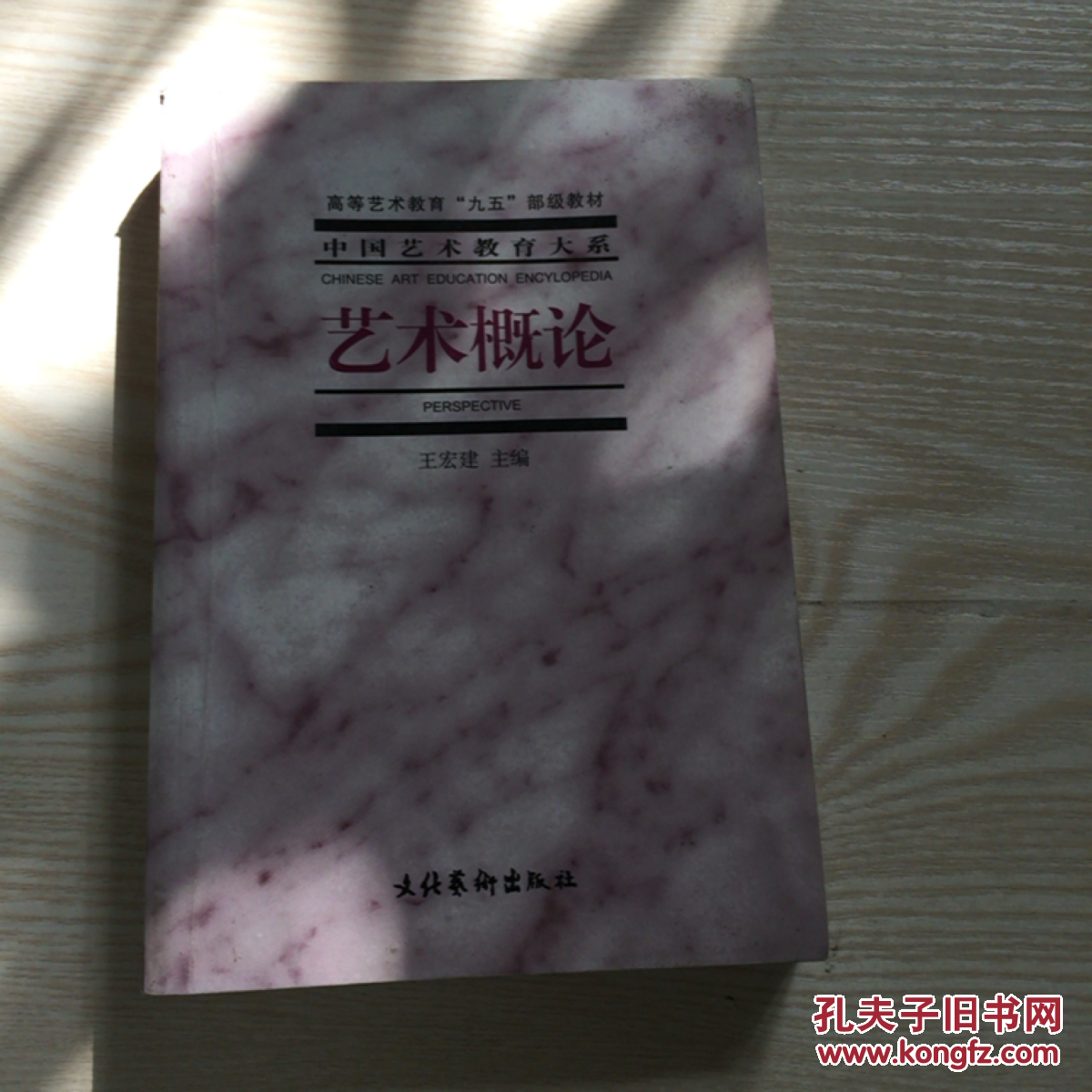 艺术概论(王宏建 主编)_简介_价格_艺术书籍_孔网