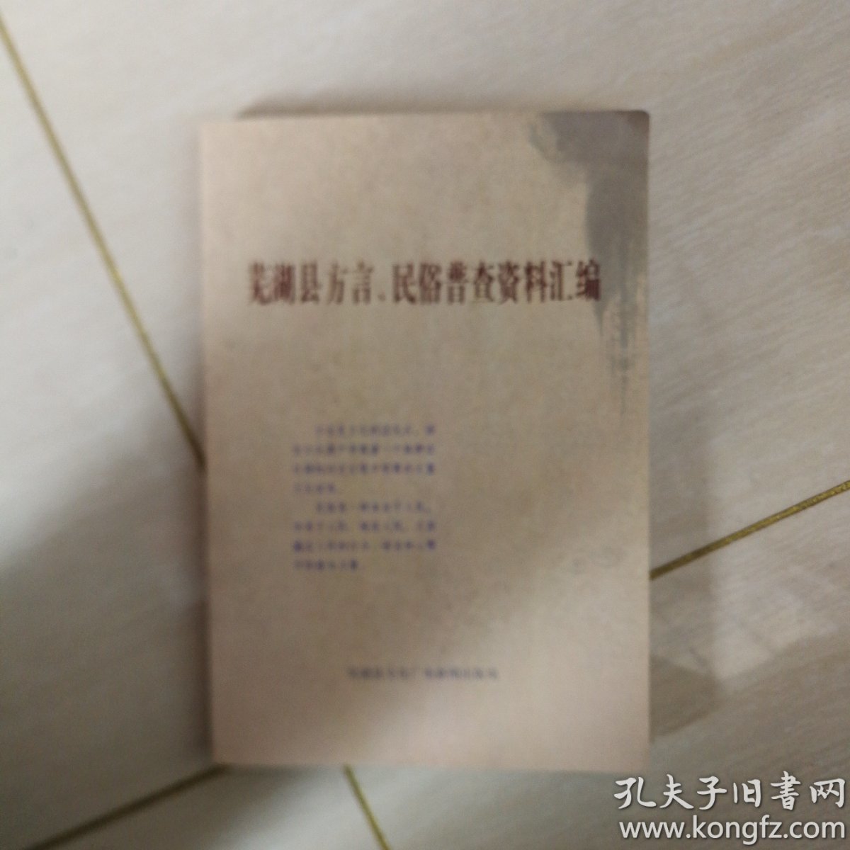 芜湖县方言民俗普查资料汇编