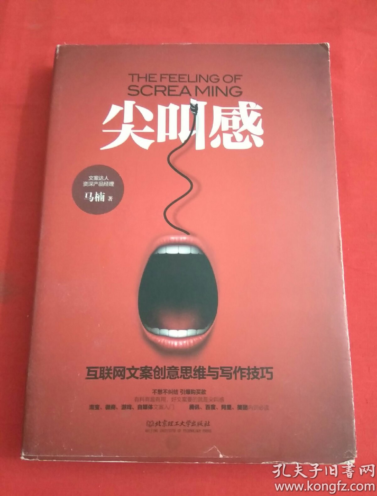 尖叫感 互联网文案创意思维与写作技巧