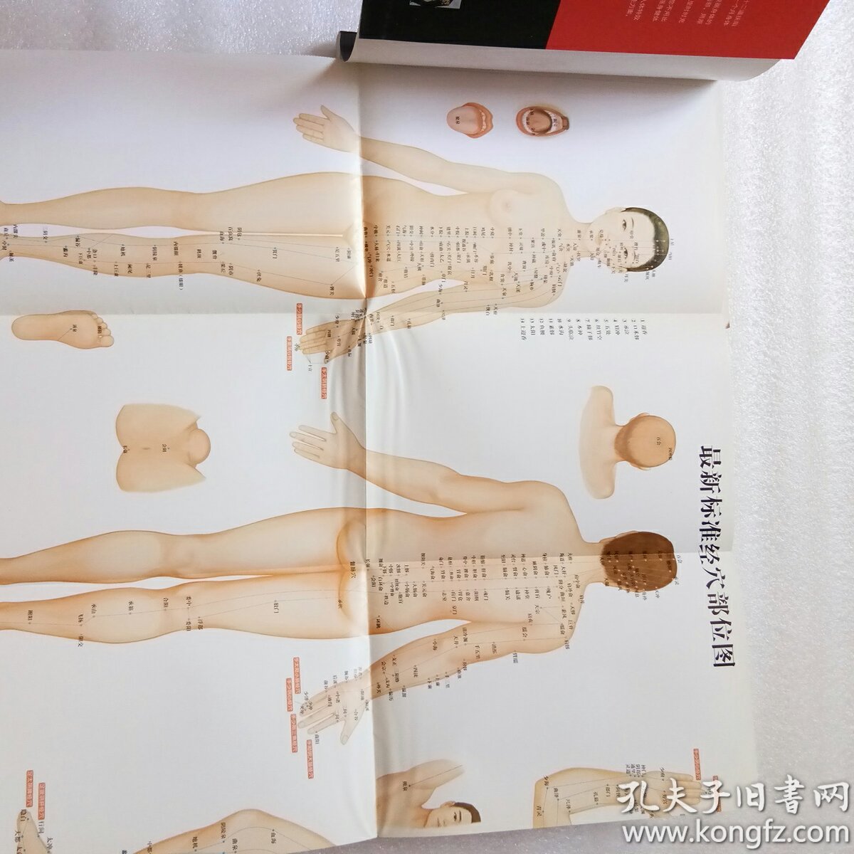 增阳减阴求长生—人体阳气修复工程(附最新标准经穴部位图)正版,现货