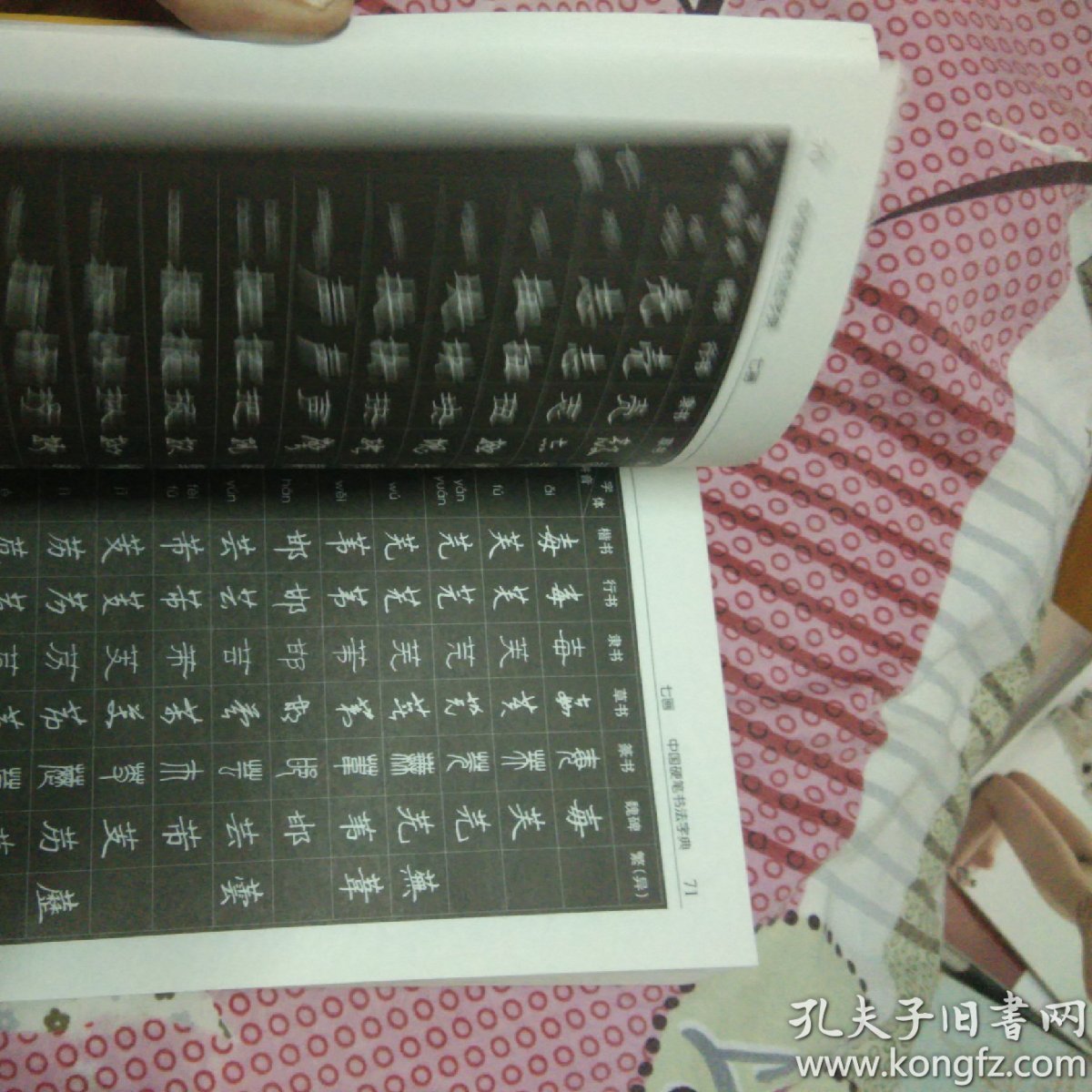 中国硬笔书法字典(修订本)