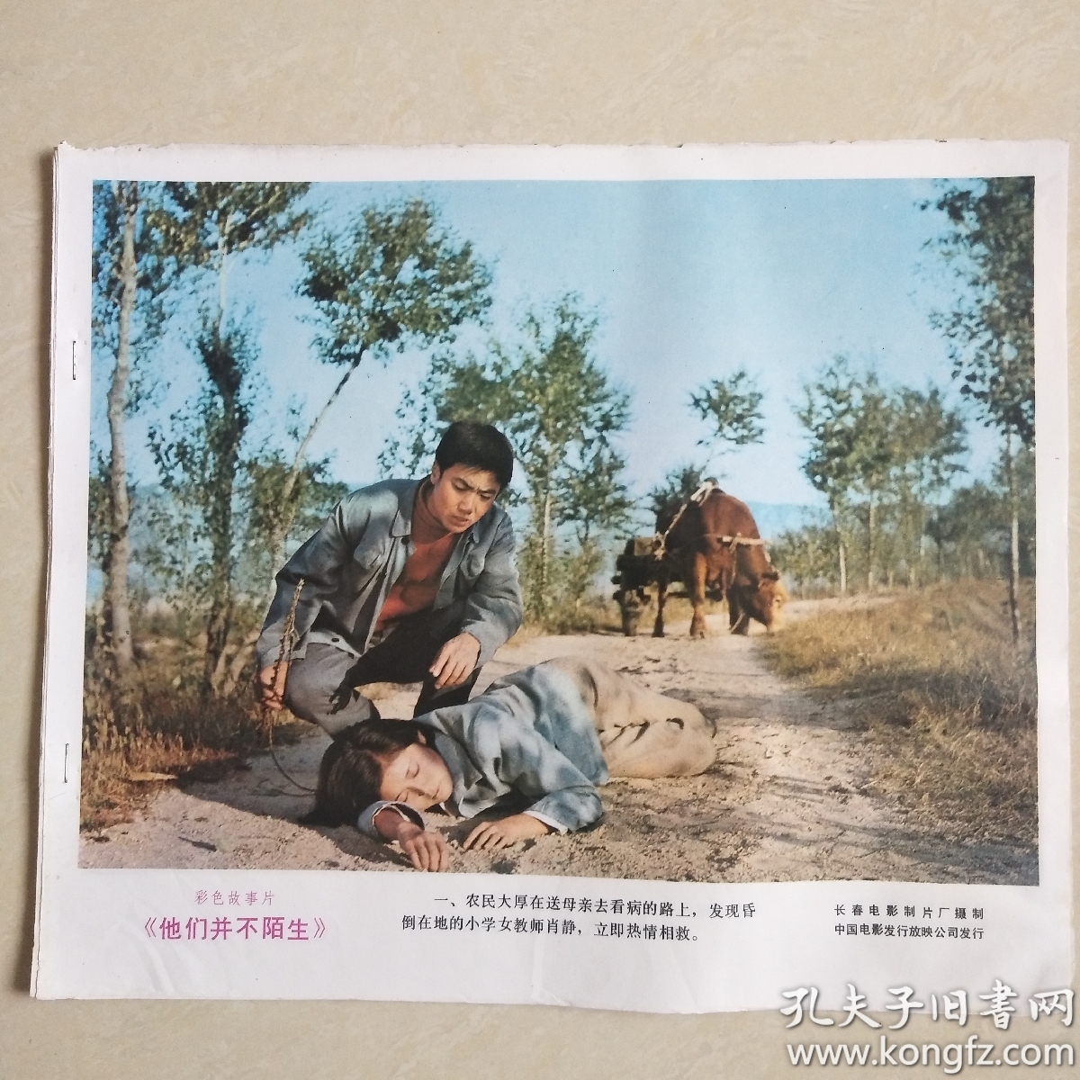 彩色故事片《他们并不陌生》 电影海报