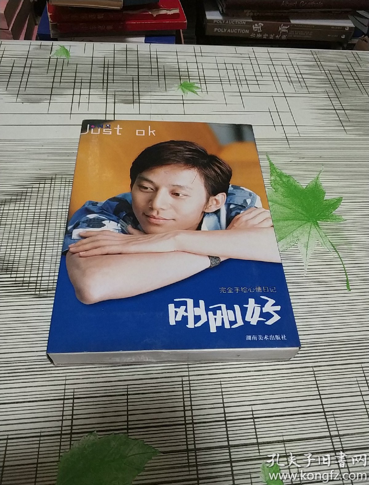 刚刚好:手绘心情日记 【何炅 著】(全二册) 【实