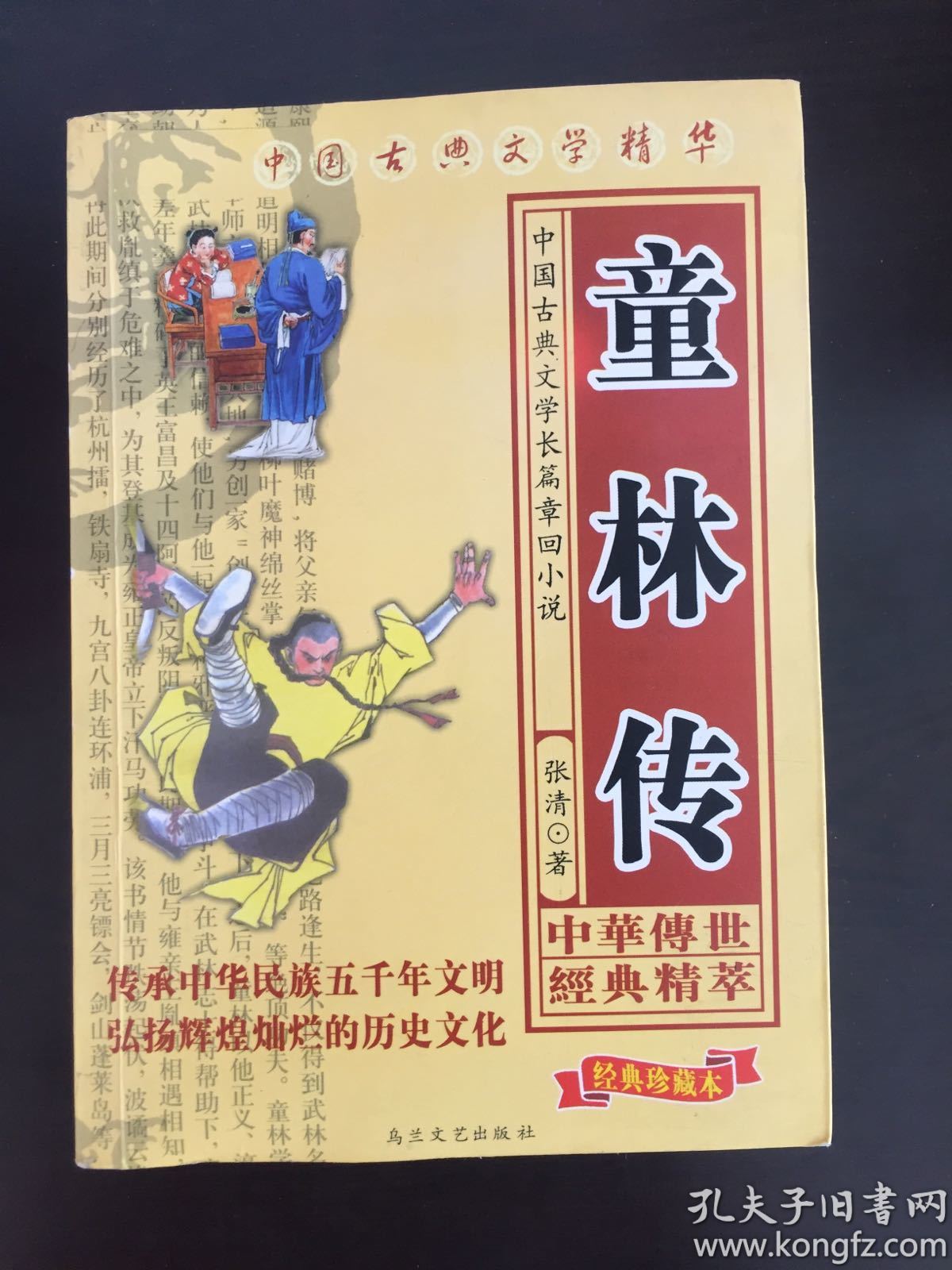 童林传 
