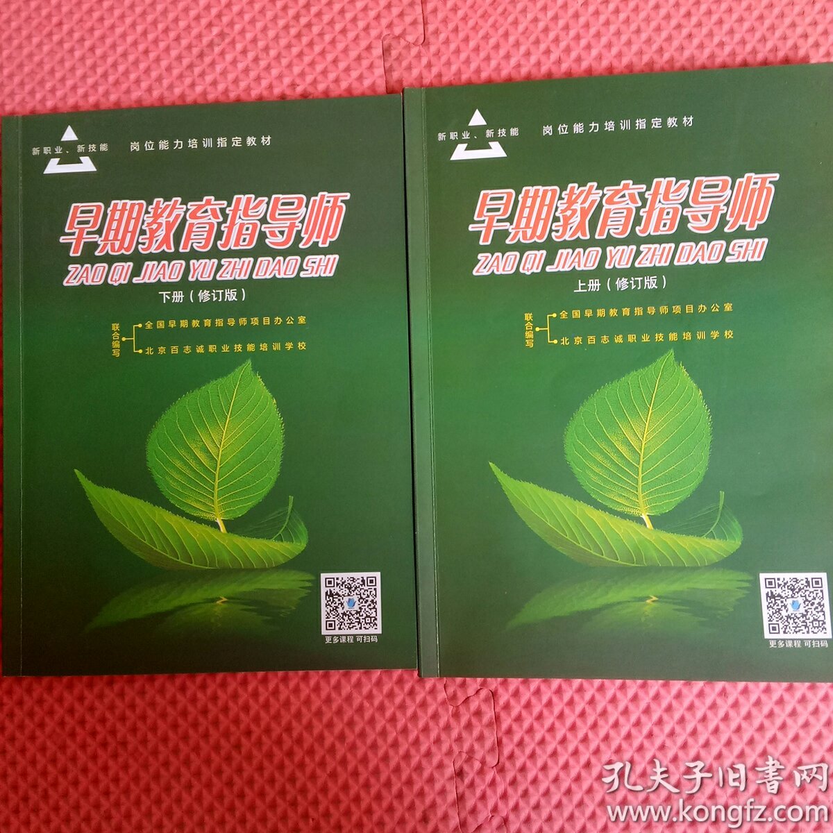 早期教育指导师(上下册 修订版)有些笔记和画线