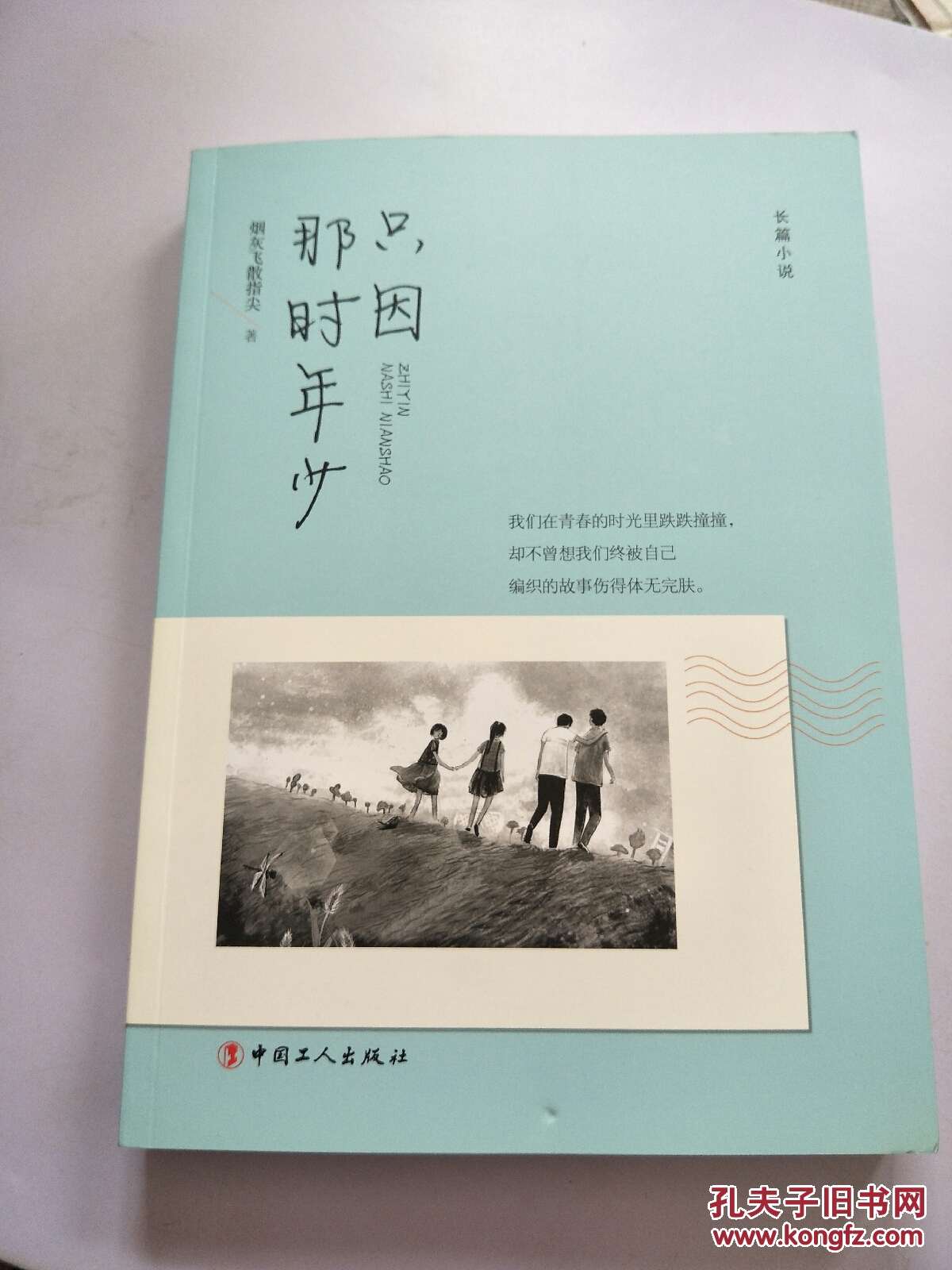 只因那时年少