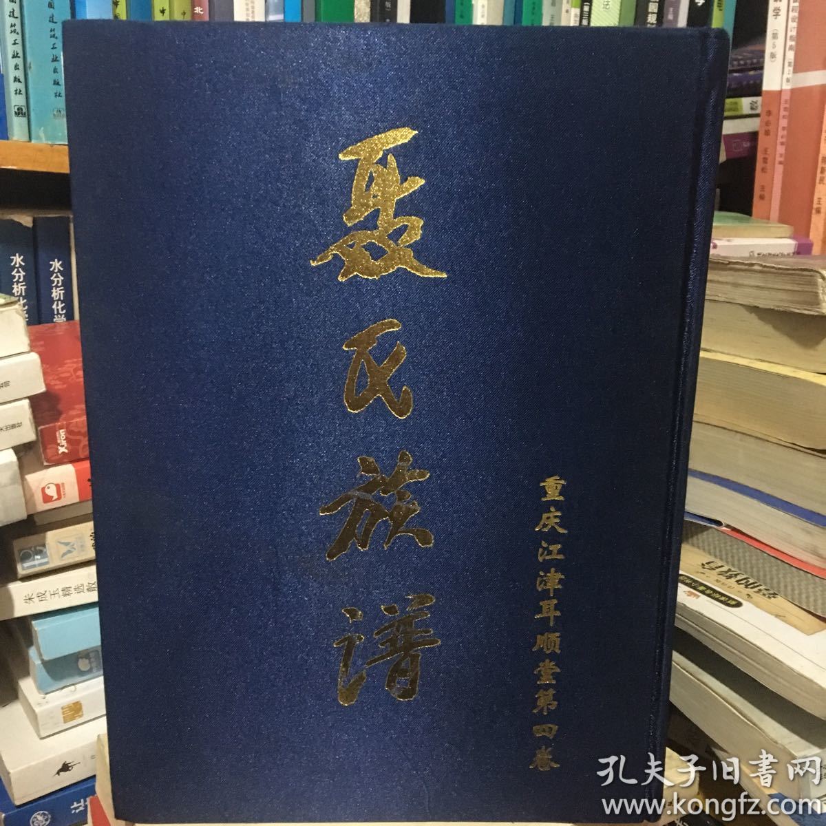 聂氏族谱
