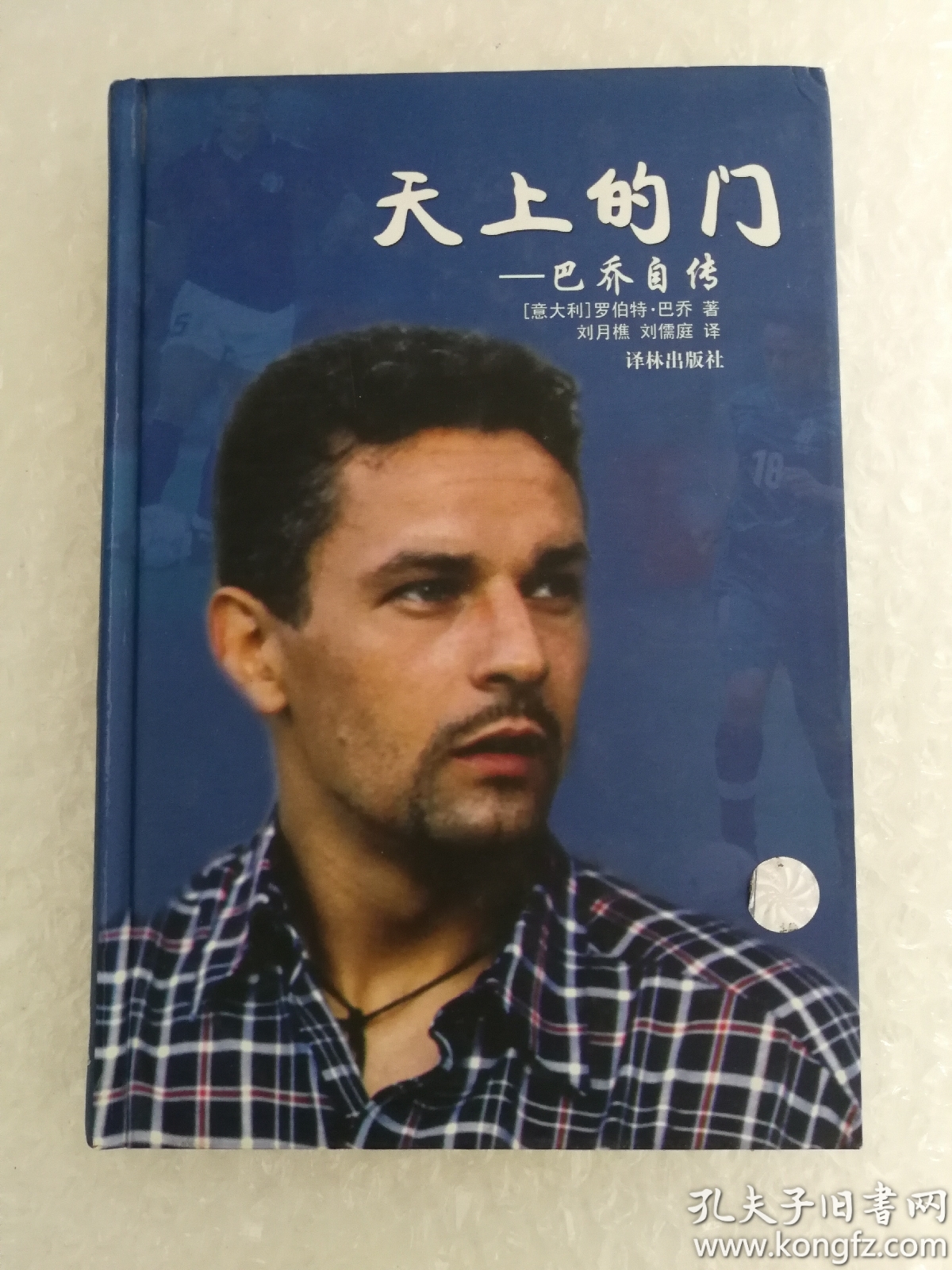 天上的门:巴乔自传