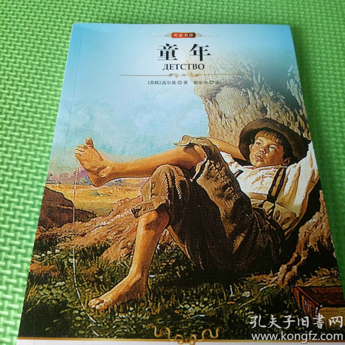 童年(插图本)