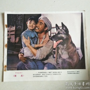 彩色故事片《赛虎》 电影海报