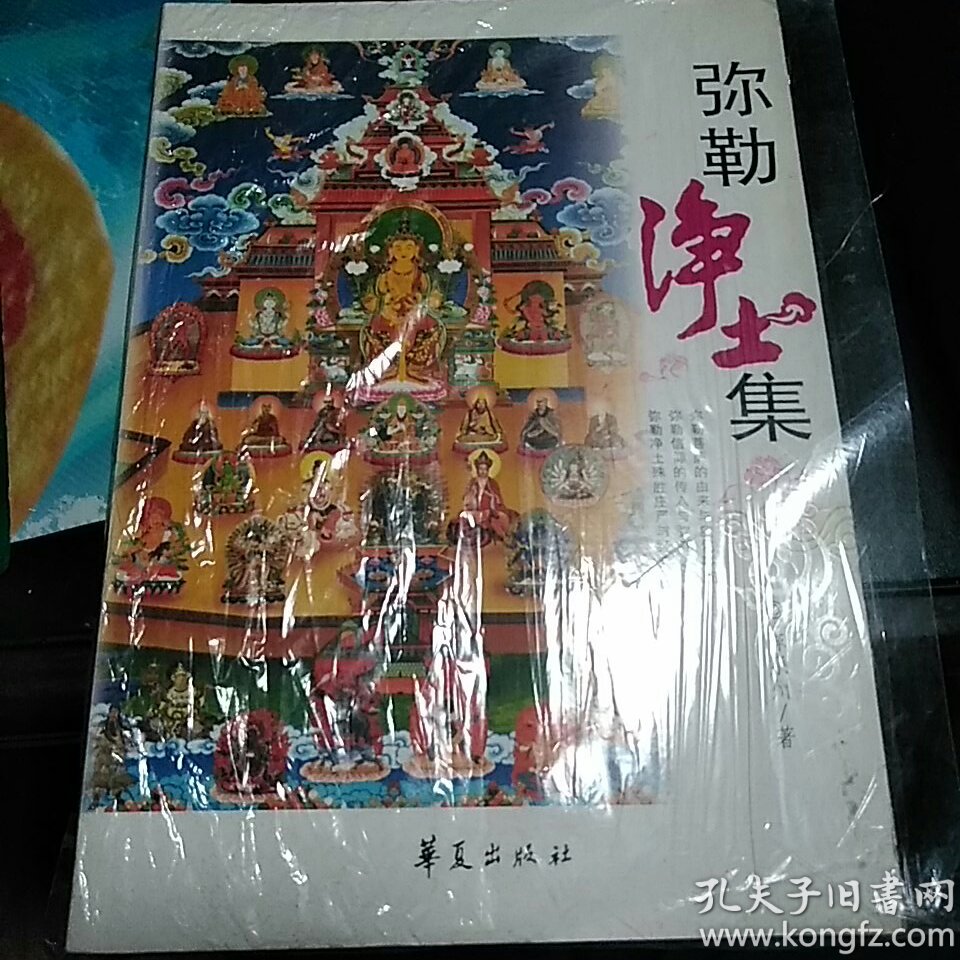 弥勒净土集