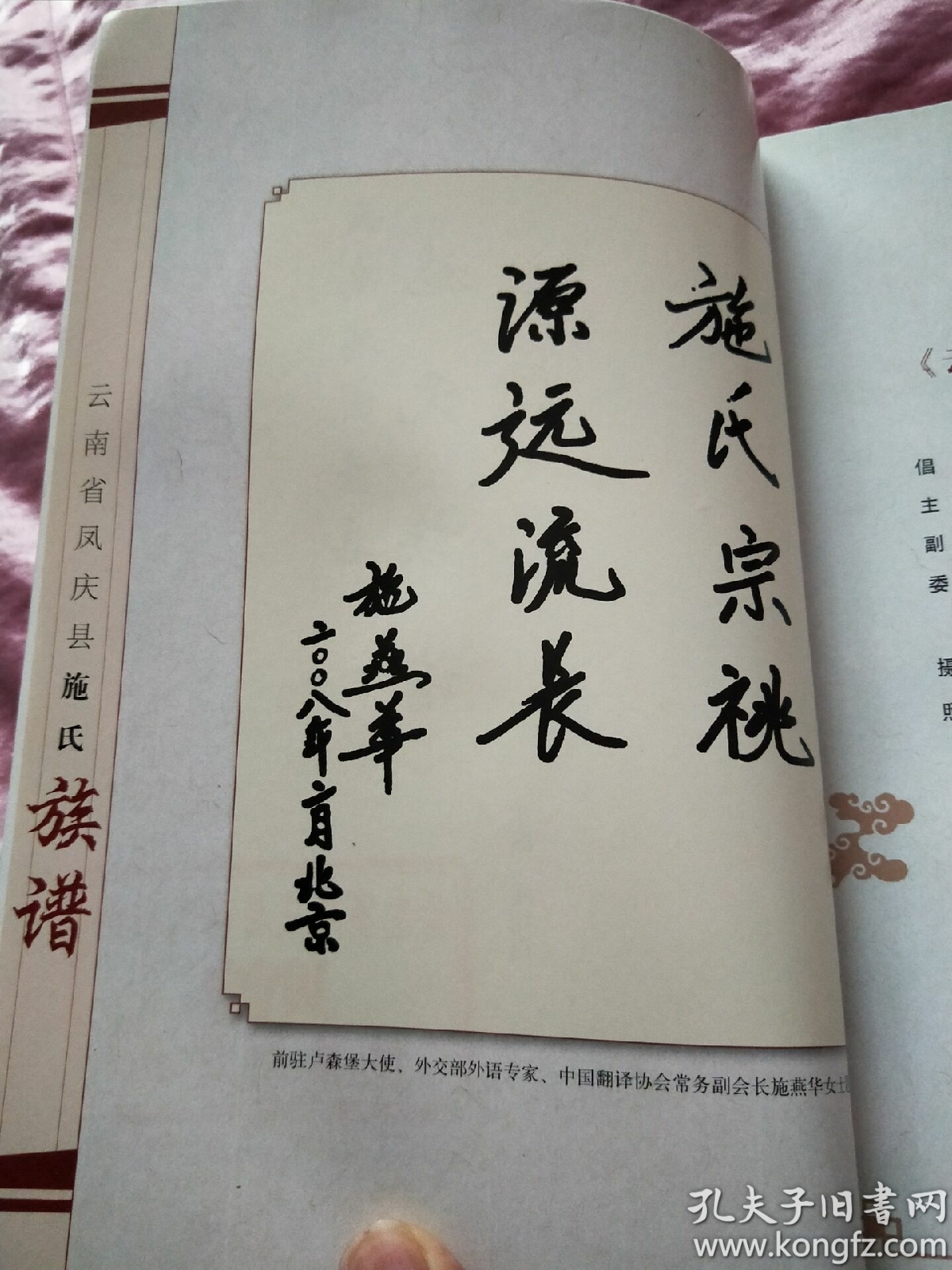 施氏族谱(2008年一版一印,印量6000册,快递包邮)