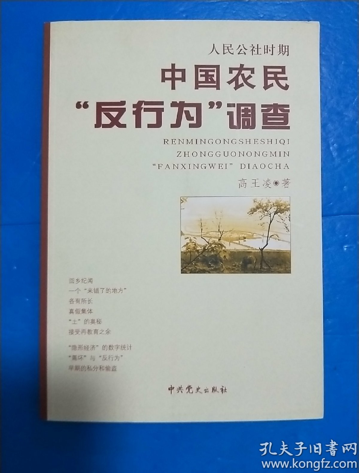 人民公社时期中国农民反行为调查