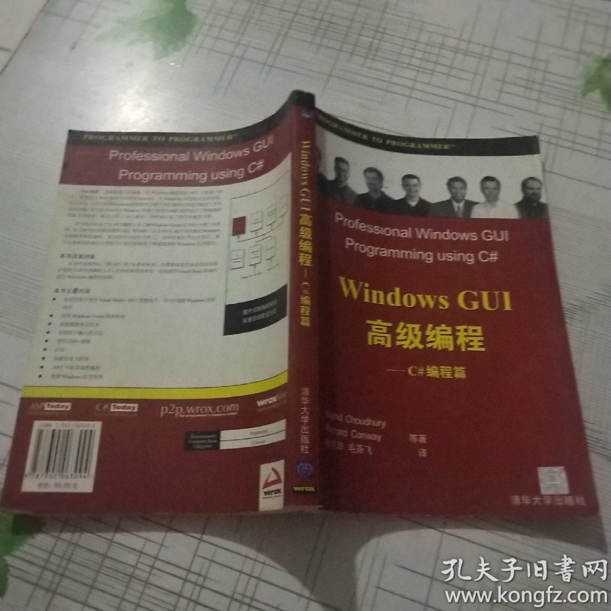 Windows GUI高级编程(C#编程篇)