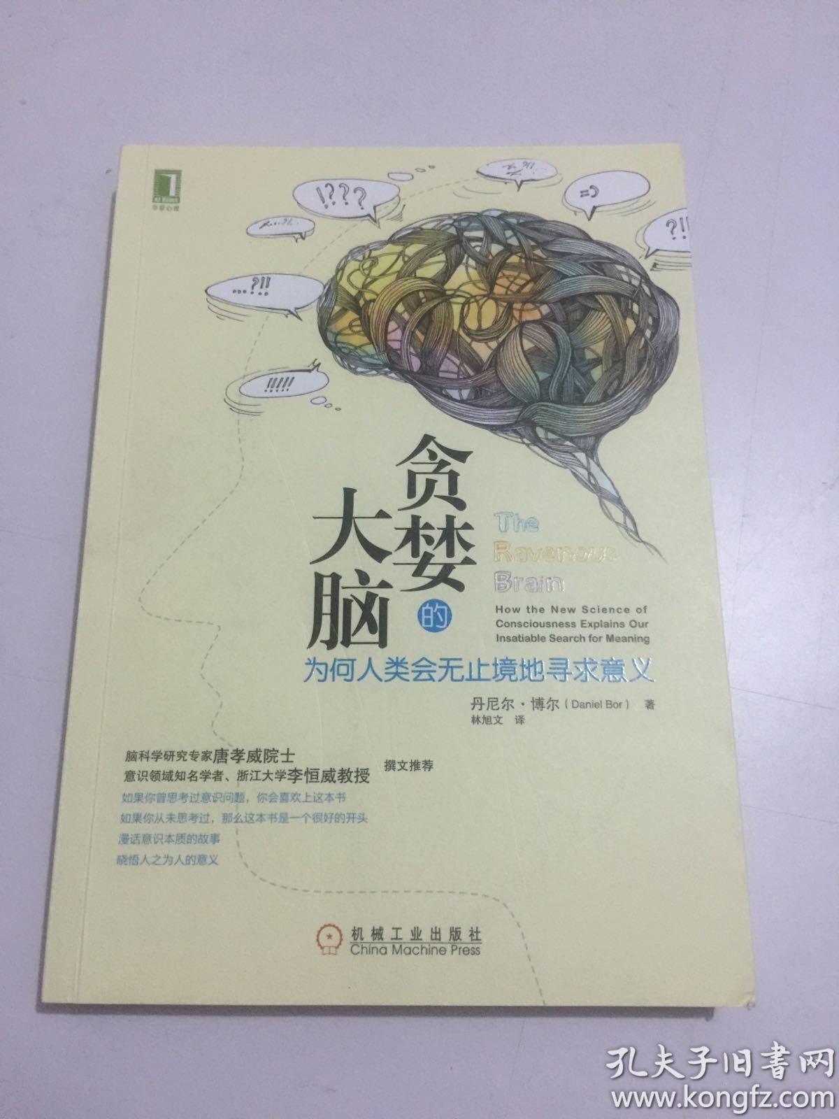 贪婪的大脑:为何人类会无止境地寻求意义