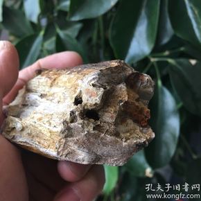 眼人口木_...竟然骗过所有人眼睛(3)