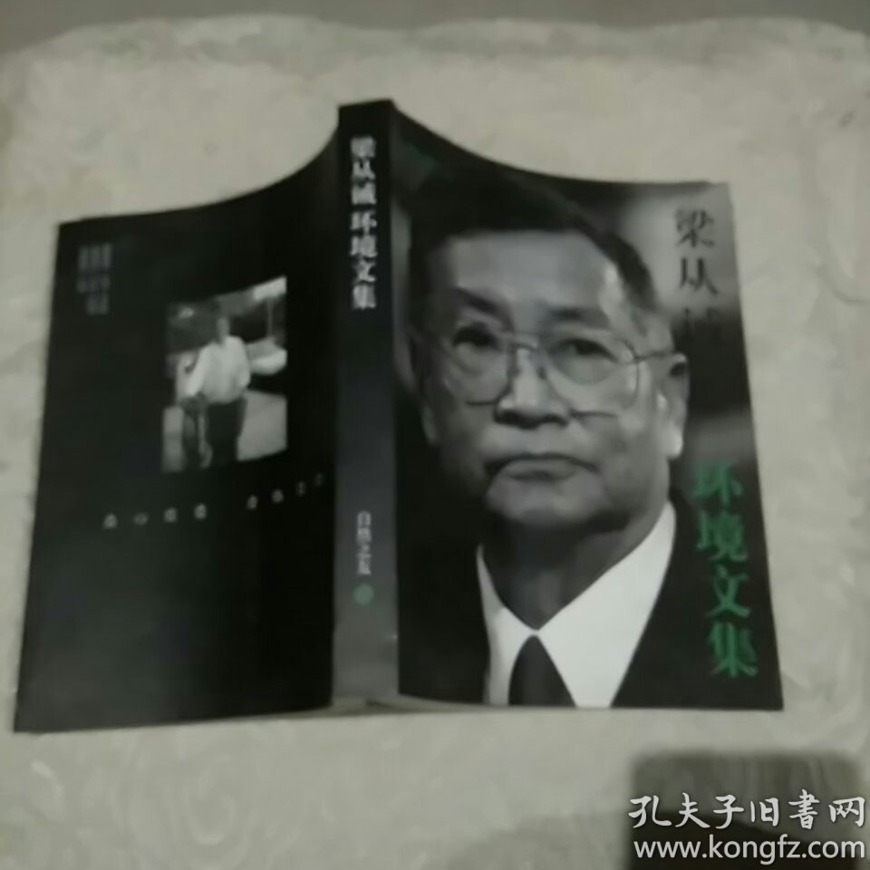 梁从诫环境文集