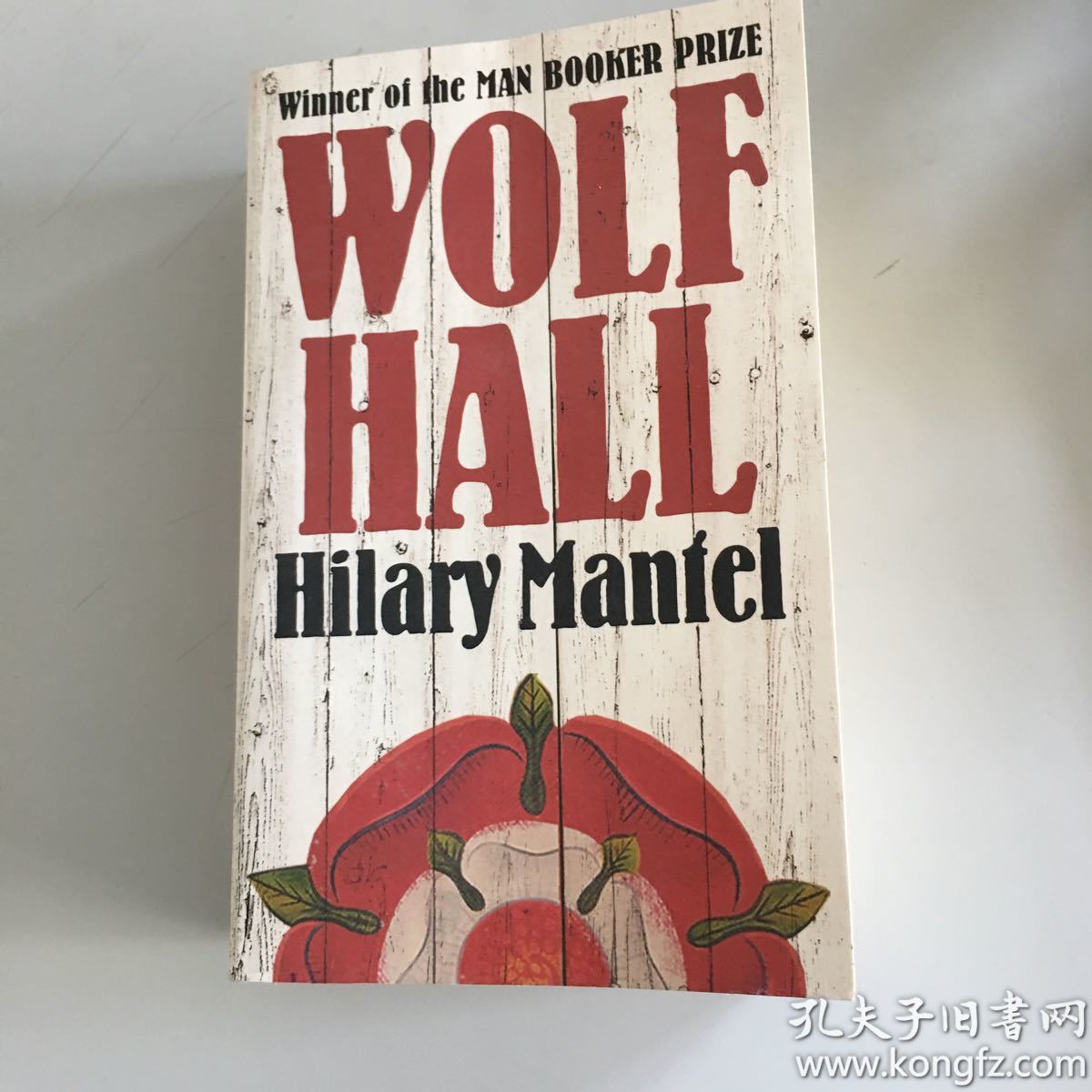 wolf hall(hilary mantel 著)_简介_价格_外文原版_孔