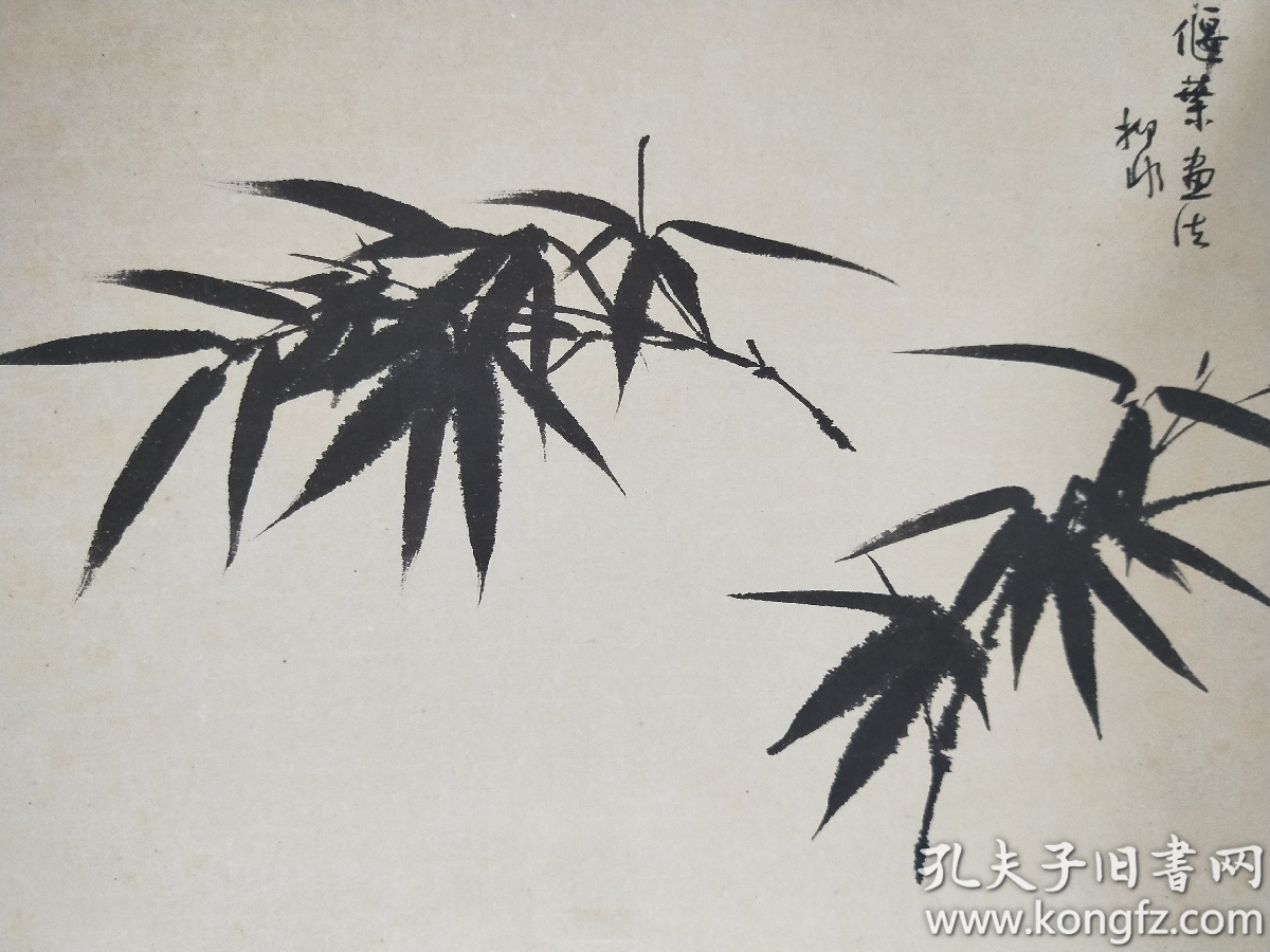 陆抑非 竹