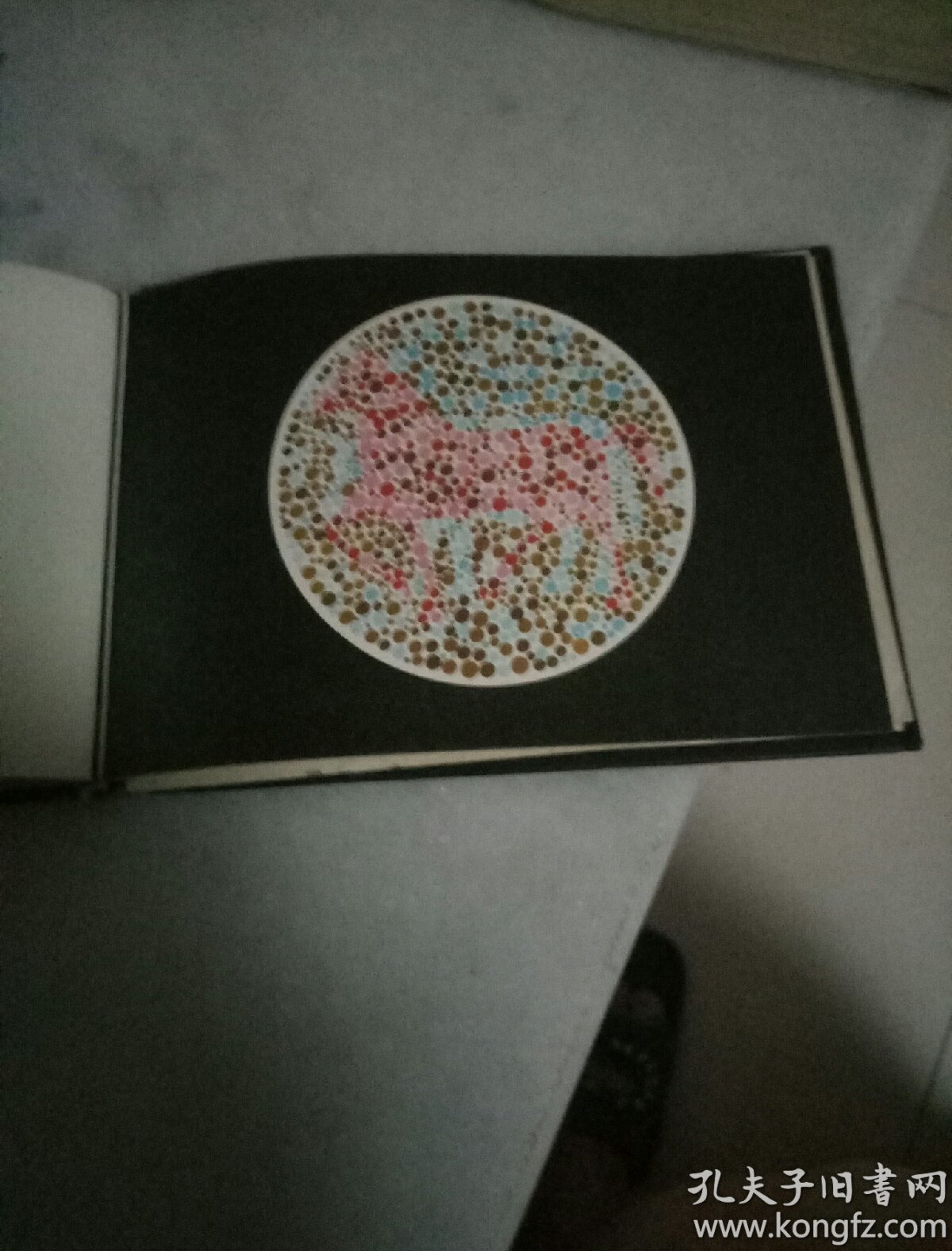 色觉检查图,附说明书_李春慧_孔夫子旧书网