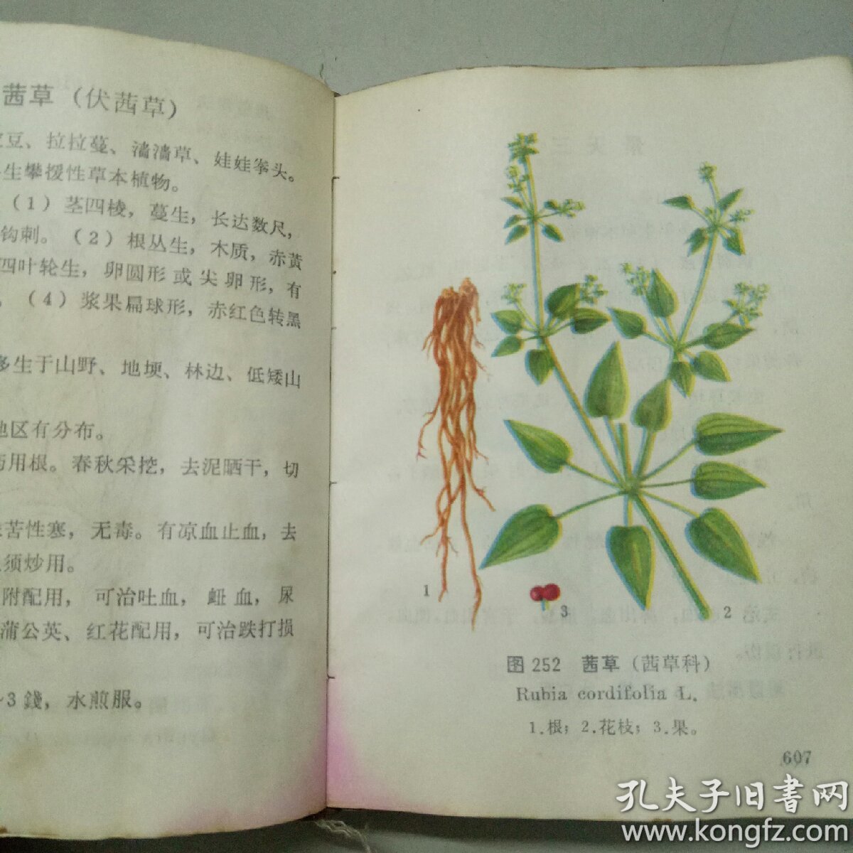 北方常用中草药手册