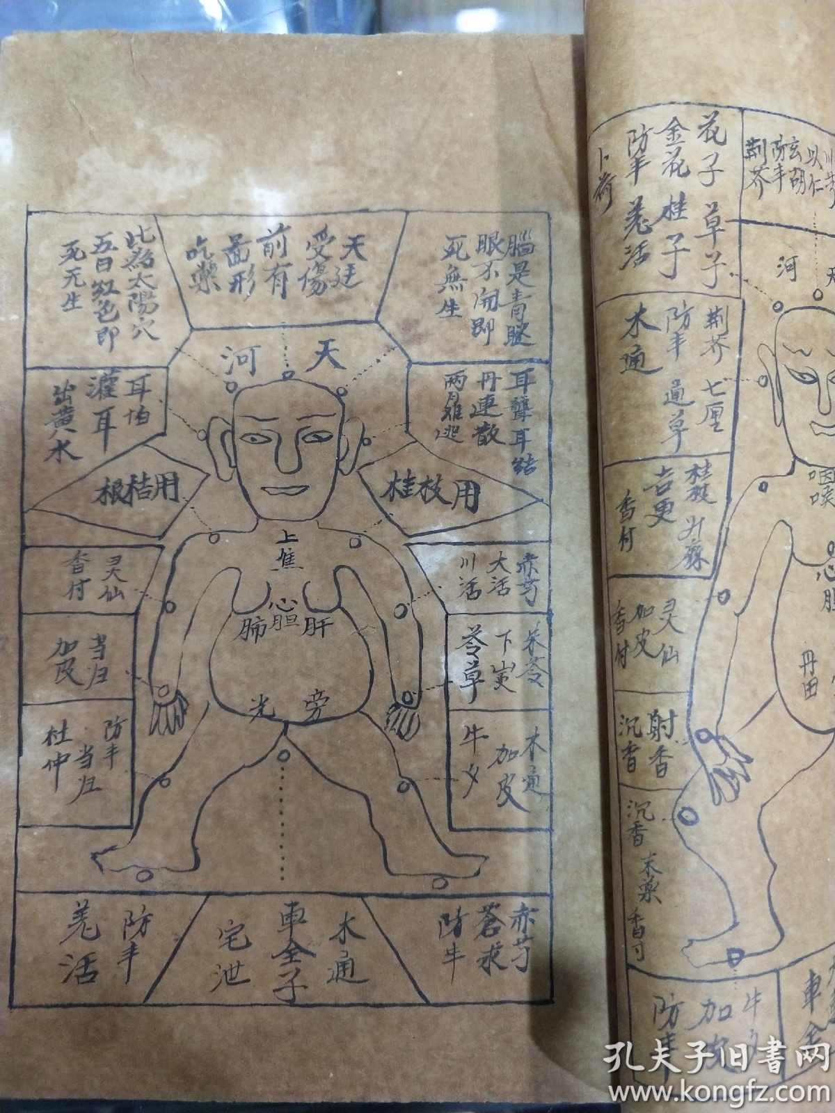 珍稀道家秘传孤本子午图形,子午血流图,子午药方秘诀全部