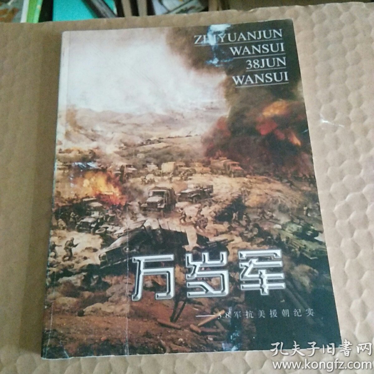 万岁军:38军抗美援朝纪实