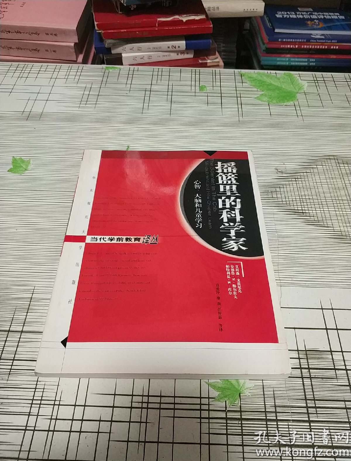 当代学前教育丛书摇篮里的科学家:心智、大脑