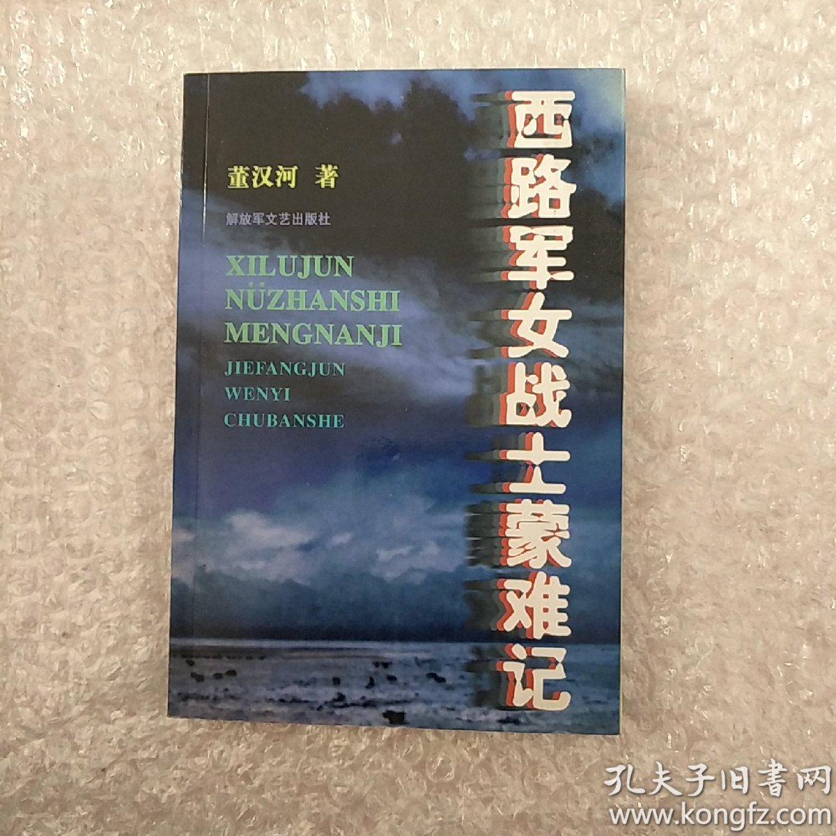 西路军女战士蒙难记