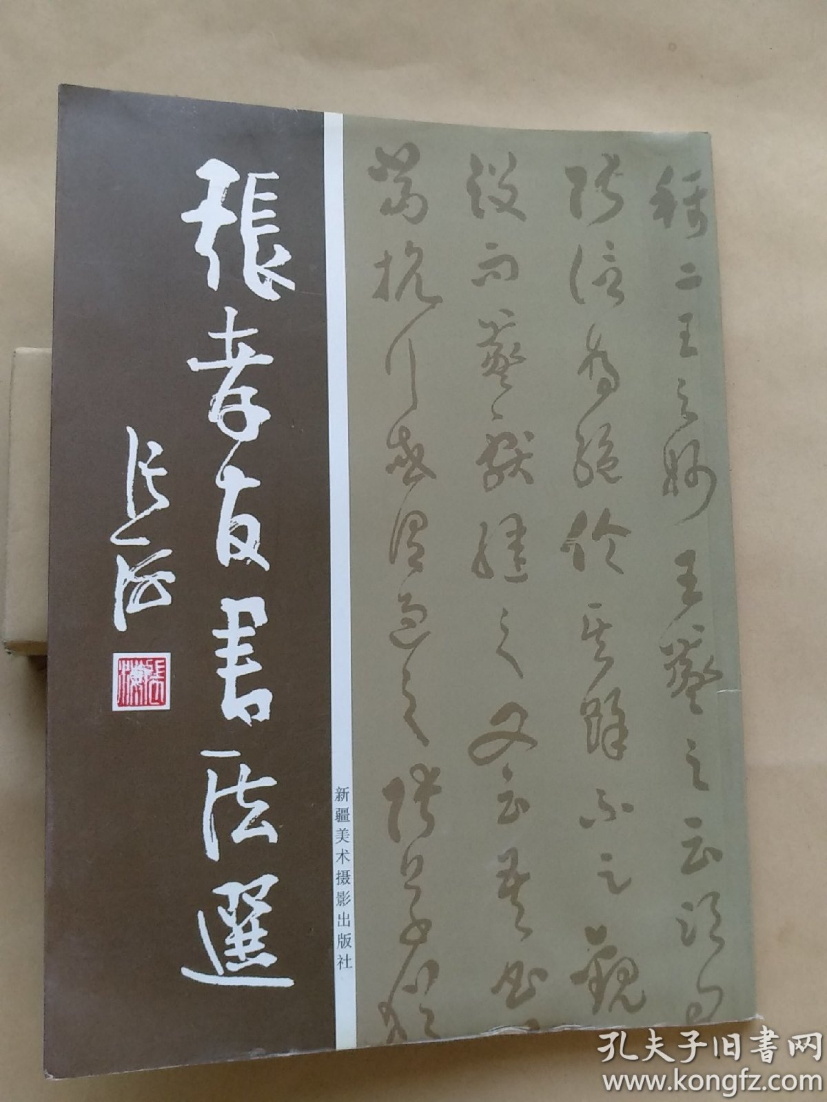 张孝友书法选