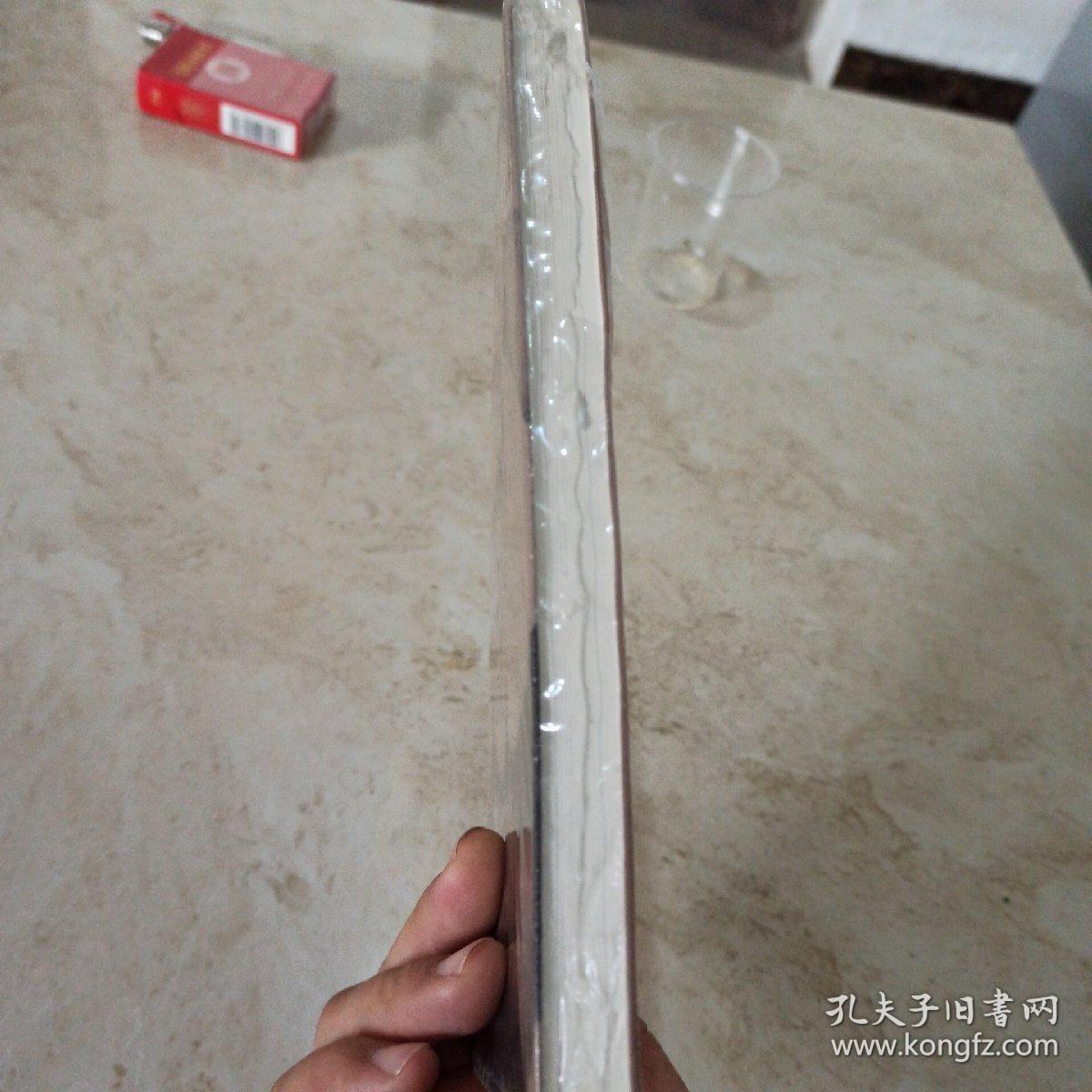 创始人手记一个企业家的思想工作与生活