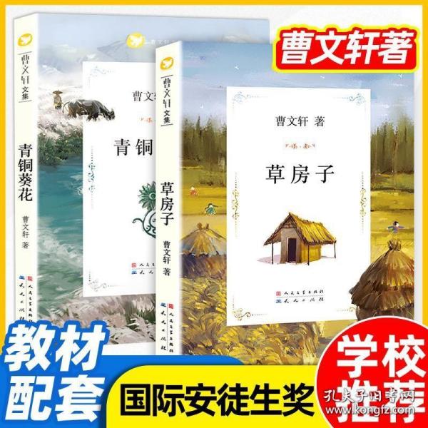 野孩子:蓝石头