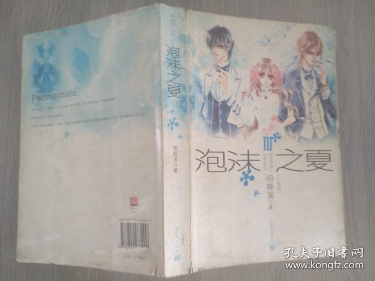 泡沫之夏Ⅲ:大结局