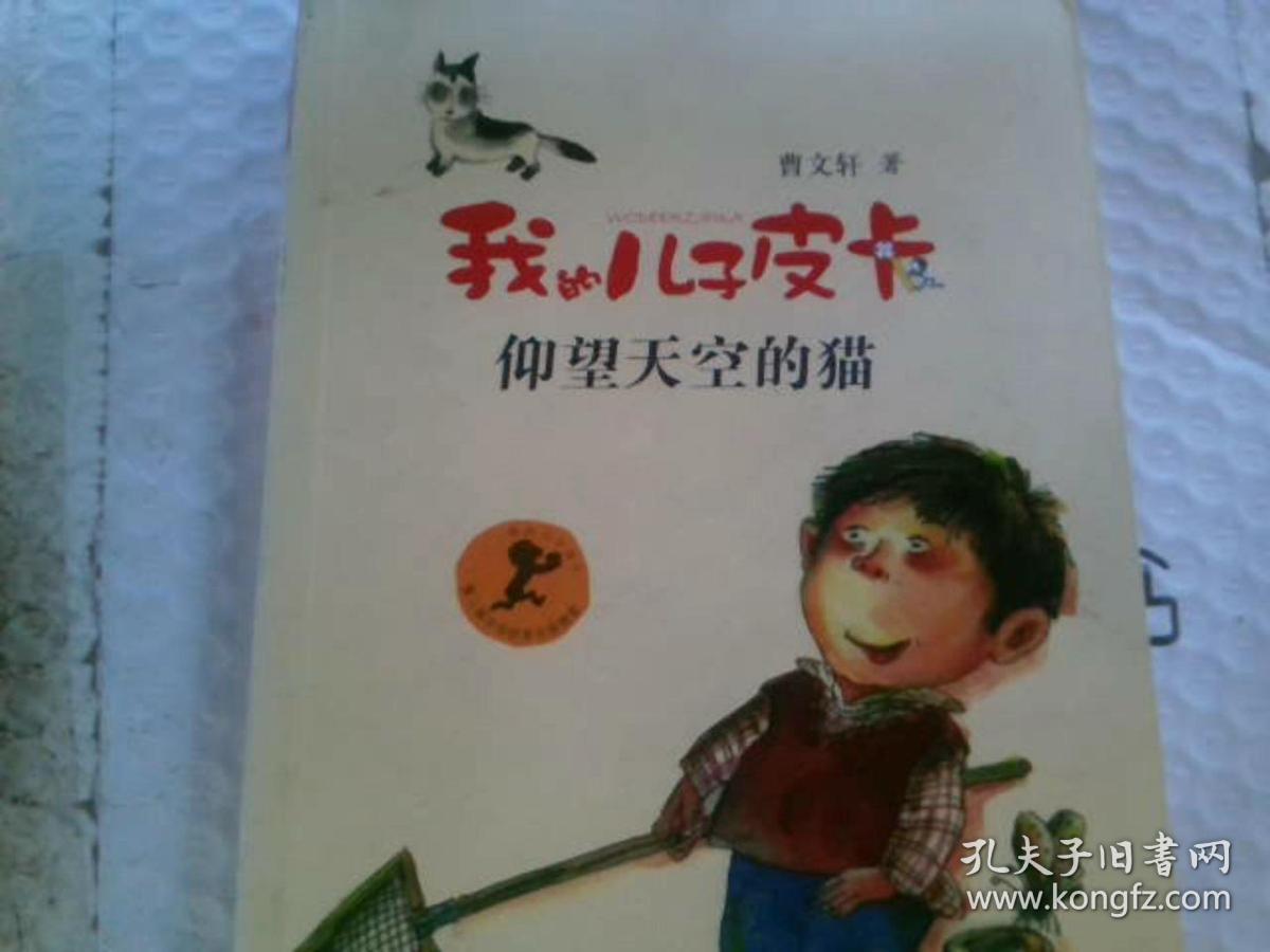 我的儿子皮卡2仰望天空的猫