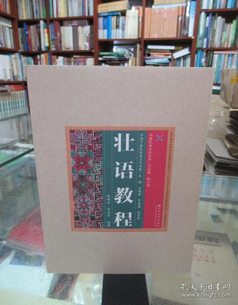 云南民族文化丛书壮语教程