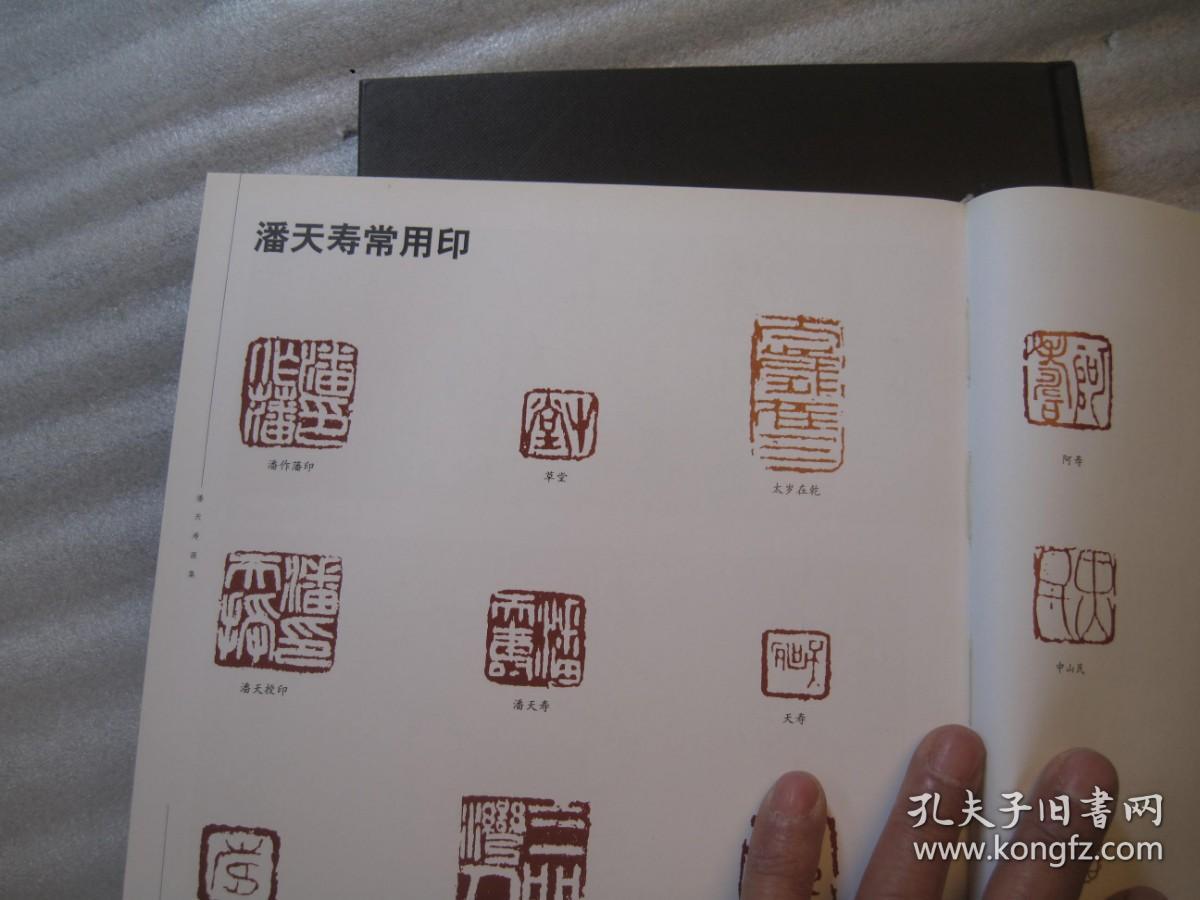 潘天寿画集,收录潘天寿书画精品(吴昌硕的高足,后面有常用印章 年表