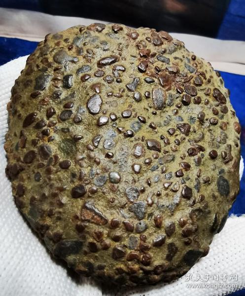 陨石原石,稀有陨石奇石"金蟾蜍"纯天然极品气印满满陨石,极品收藏"