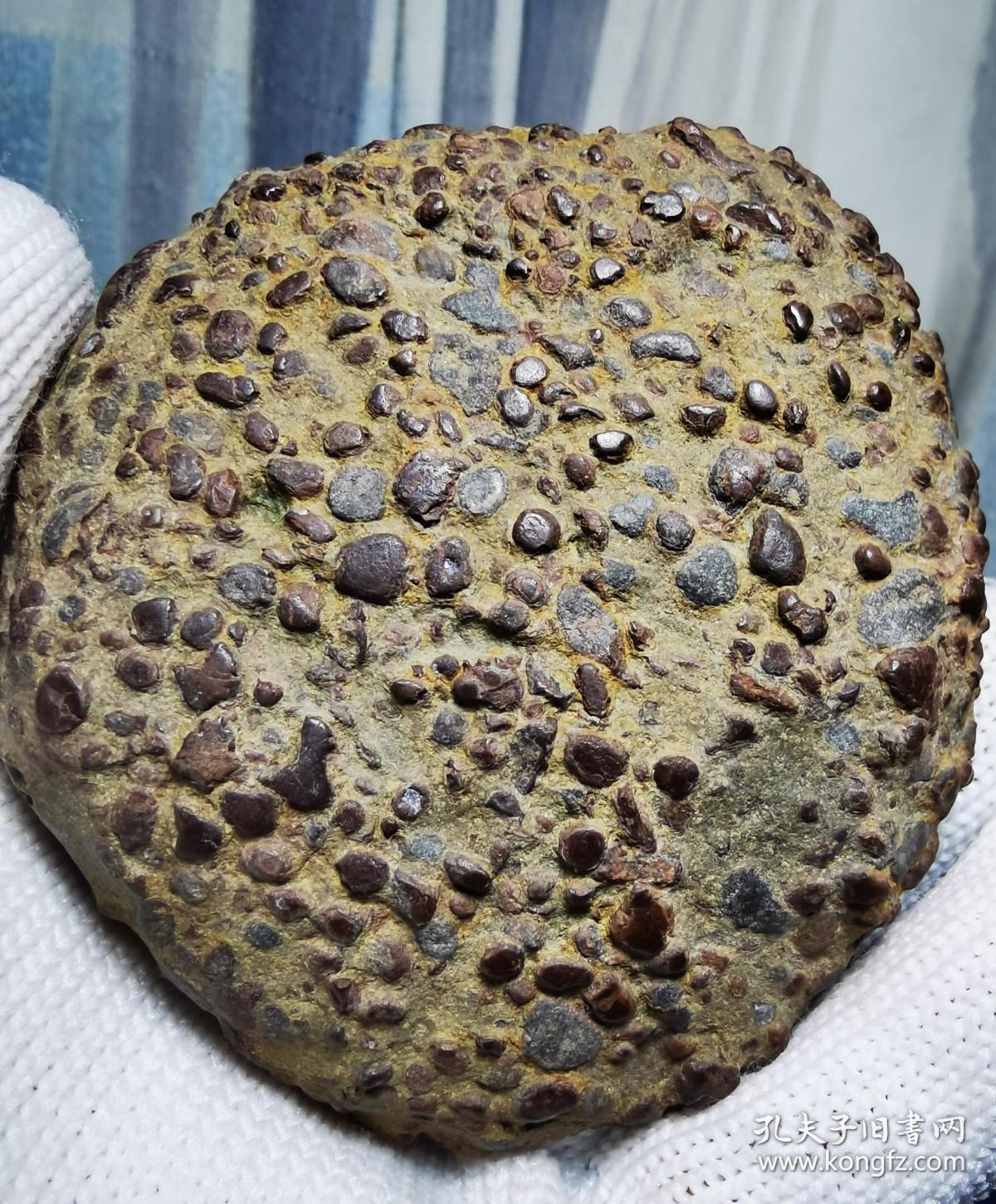 陨石原石,稀有陨石奇石"金蟾蜍"纯天然极品气印满满陨石,极品收藏"