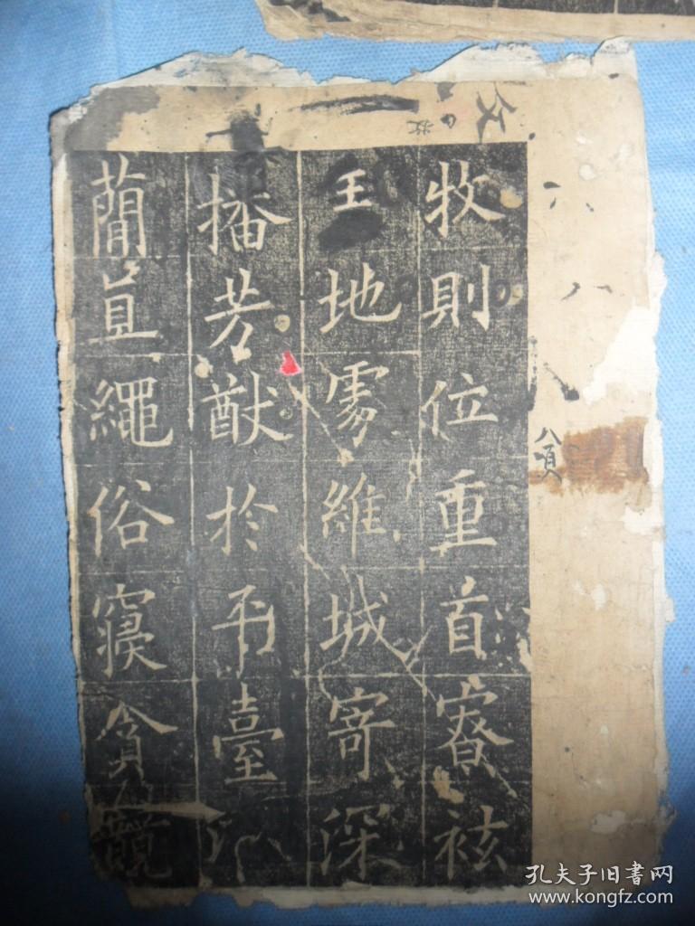 旧拓欧阳询皇甫君碑共46面