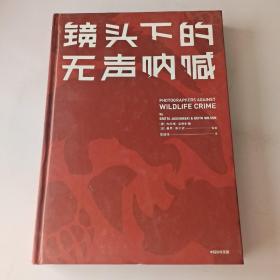 镜头下的无声呐喊