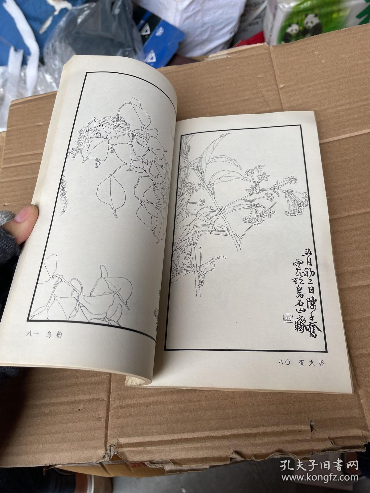 陈子奋白描花卉册