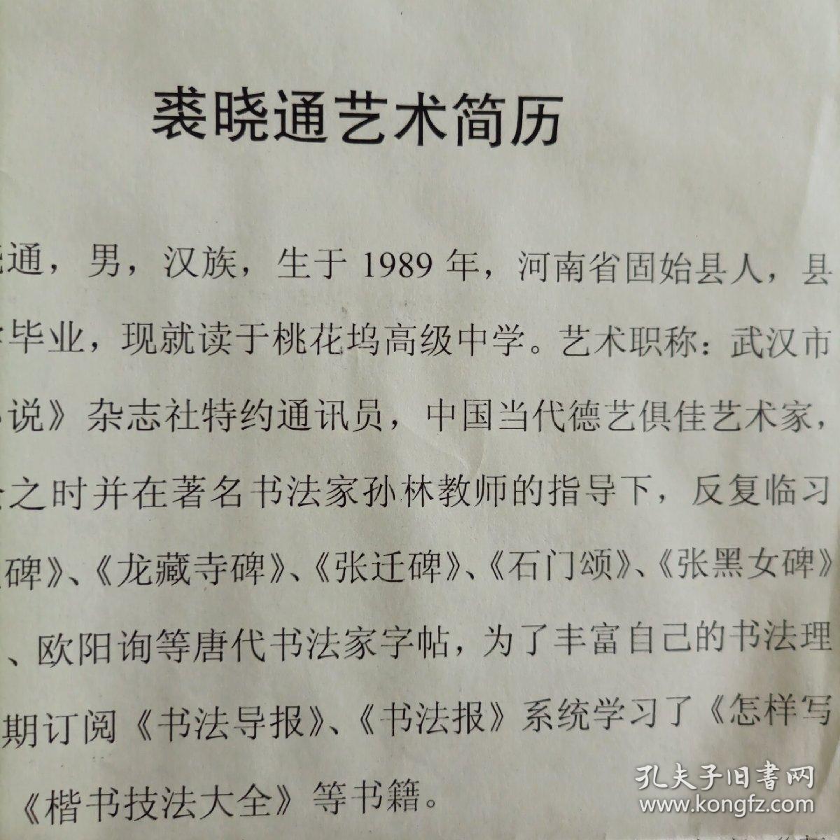 裘晓通河南固始县桃花坞中学书法报年度佳作海选投稿作品苏东坡赤壁
