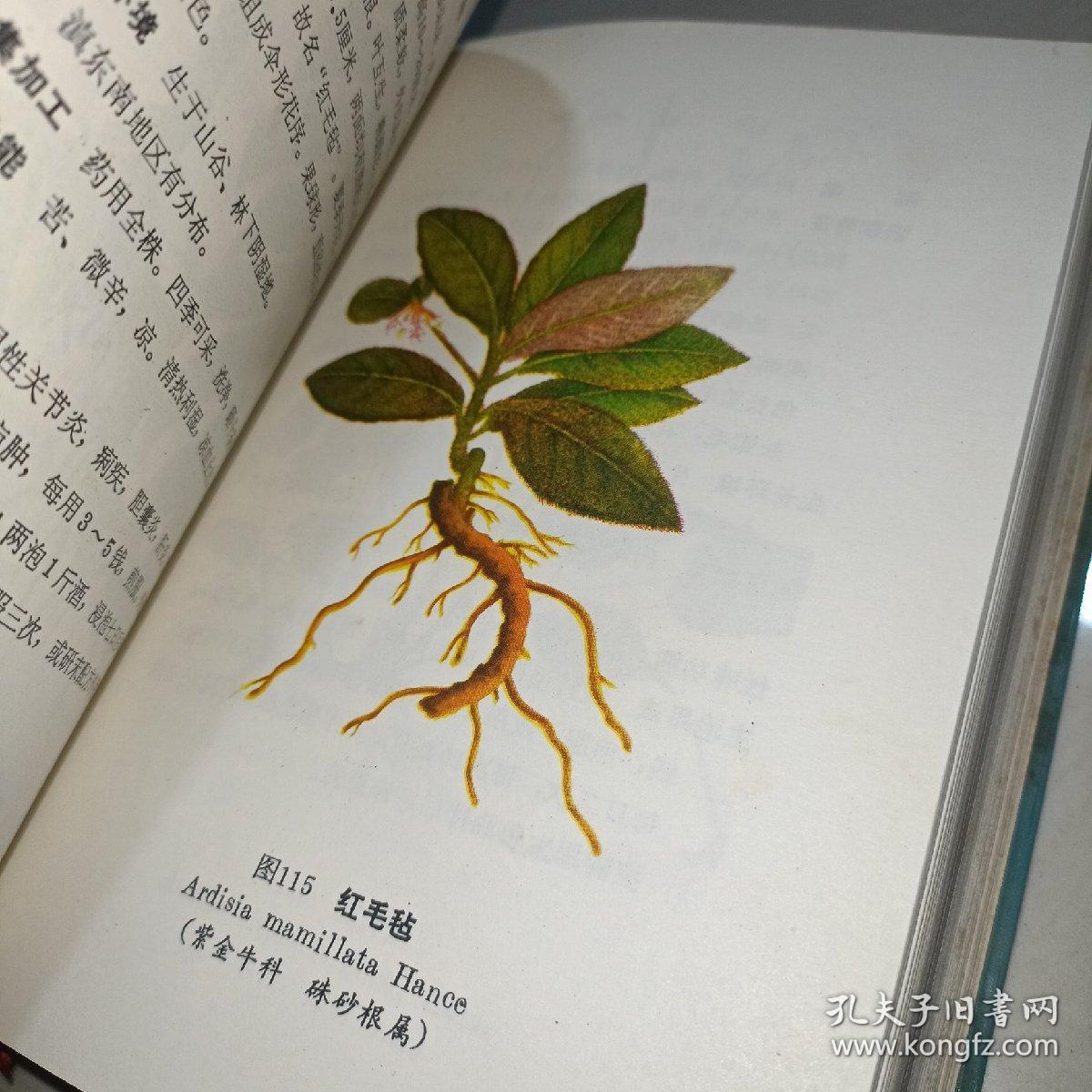 云南中草药选