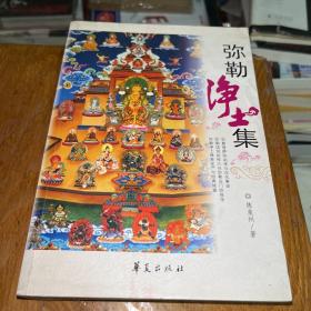 弥勒净土集