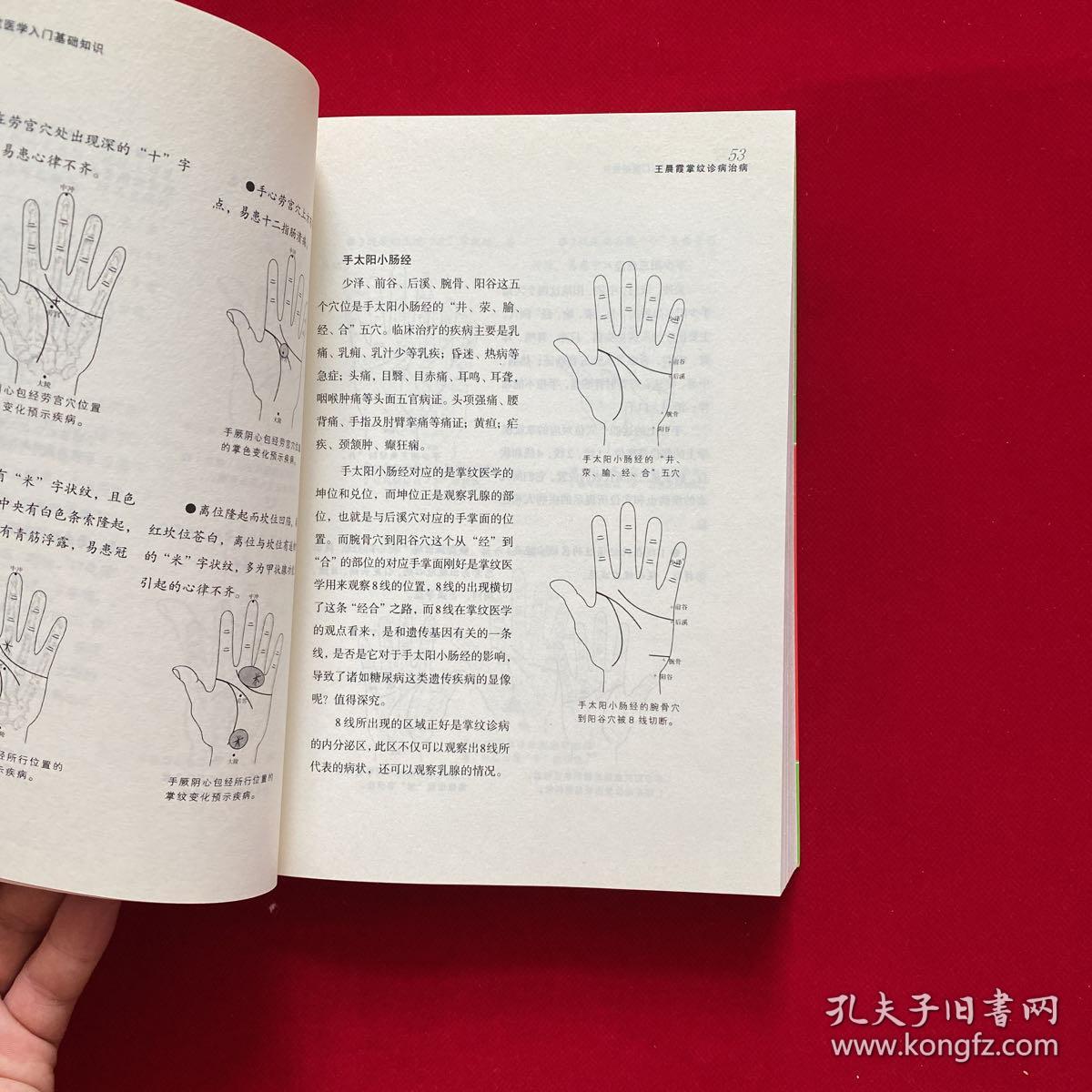 王晨霞掌纹诊病治病(全图解 无光盘)