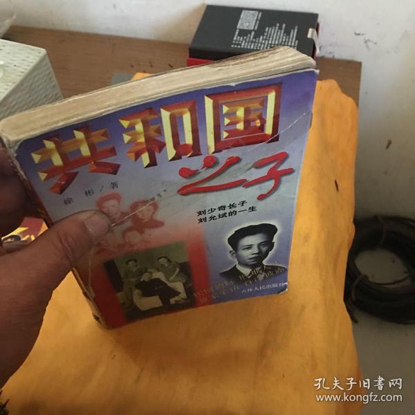 共和国 之子